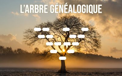 Avez-vous déjà pensé à faire votre arbre généalogique ?